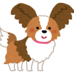 パピヨンと暮らす喜び：愛らしい小型犬の魅力と飼育のポイント