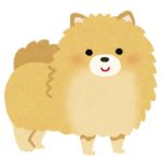 ポメラニアンの魅力と飼い方のコツ：小さな体に詰まった大きな愛情