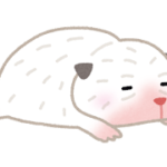 子犬を迎えて最初の1週間！愛犬との絆を深める7つの秘訣