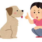 愛犬との絆を深める！「おすわり」のしつけ方法とそのメリット