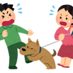 愛犬の噛み癖を解消！プロが教える7つの効果的なしつけ方法