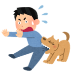 愛犬との絆を深める！効果的な犬のしつけ方法と避けるべき7つのNG行動