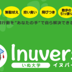 愛犬との絆を深める！イヌバーシティで学ぶ効果的なしつけ方法