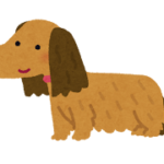 ミニチュアダックスフンドのしつけマスター術：愛犬との絆を深める7つの秘訣