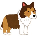 シェットランド・シープドッグのしつけマスター術：愛犬との絆を深める7つの秘訣