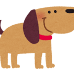 10歳の愛犬もまだ間に合う！シニア犬のためのやさしいしつけ方法