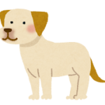 ラブラドール・レトリバーのしつけ術：愛犬との絆を深める7つの秘訣