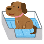 4歳の愛犬のトイレトレーニング:成功への7つの秘訣と効果的な対策