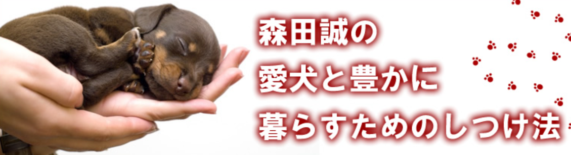 愛犬との絆を深める魔法！森田誠のしつけ法で実現する幸せな犬との暮らし