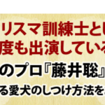 愛犬との絆を深める！藤井聡の犬のしつけ方法DVDで実現する理想の犬との暮らし