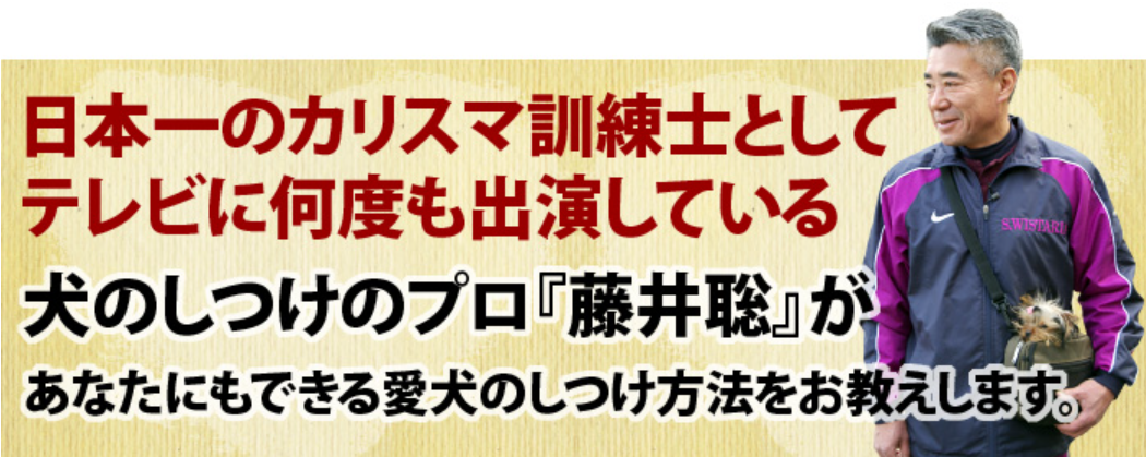 愛犬との絆を深める！藤井聡の犬のしつけ方法DVDで実現する理想の犬との暮らし