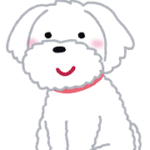 マルチーズのしつけマスター術：愛犬との絆を深める7つの秘訣