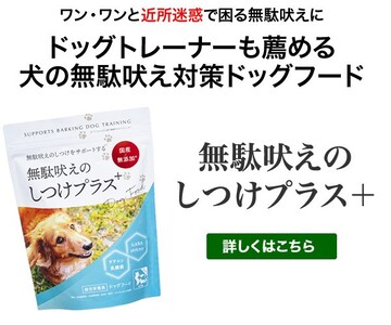 愛犬の無駄吠えを改善！「無駄吠えのしつけプラス」の効果と口コミを徹底解説