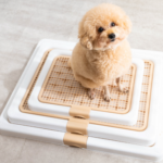 愛犬の快適生活を実現!INULABO(イヌラボ)トイレトレーの魅力と使用感を徹底解説