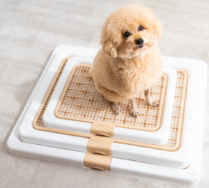 愛犬の快適生活を実現！INULABO（イヌラボ）トイレトレーの魅力と使用感を徹底解説